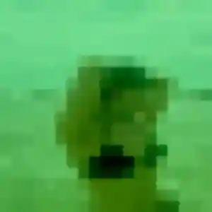 Sexy Whitney, 34 ans à Auchel - voir sa photo
