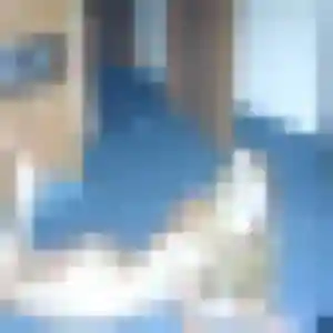 Sexy Clotilde, 27 ans à Audun-le-Tiche - la contacter