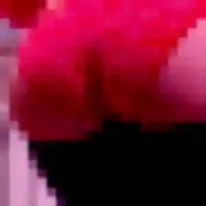 Photo privée de Celine, 24 ans à Avermes - rencontre coquine