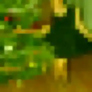 Soraya, 21 ans, connectée à Baccarat pour une rencontre coquine