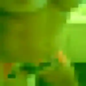 Photo perso de Solange, 33 ans à Bailleul - rencontre coquine