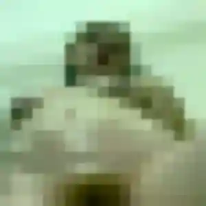 Photo privée de Lina, 39 ans à Belleu - plan discret
