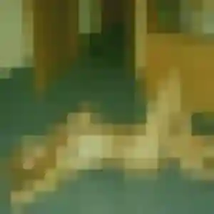 Charmante Hortense, 34 ans à Bry-sur-Marne - la contacter