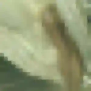 Photo privée de Flore, 29 ans à Champs-sur-Marne - plan discret
