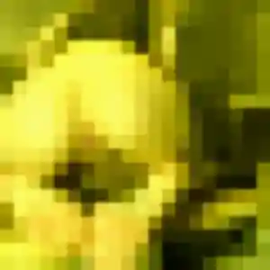 Photo exclusive de Flore, 25 ans à Chaumont-en-Vexin - rencontre coquine