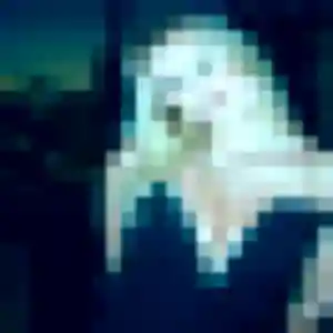 Profil de Anne-Sophie à Chessy (34 ans) - rencontre adulte anonyme