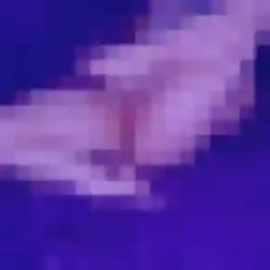 Sexy Paloma, 33 ans à Commelle-Vernay - la contacter
