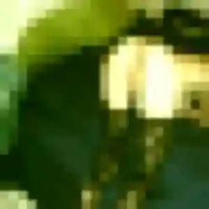 Photo sexy de Rym, 27 ans à Cosne-Cours-sur-Loire - plan discret