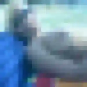 Profil de Elsa à Delle (23 ans) - rencontre adulte sans inscription