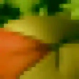 Photo de Lea à Eaubonne (22 ans) - rencontre adulte anonyme