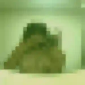 Harmony, 33 ans, disponible à Éperlecques pour un rencontre adulte
