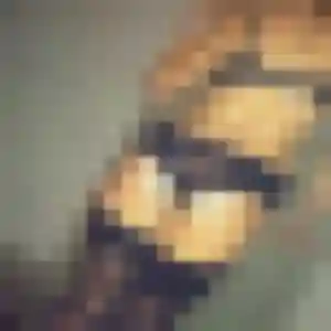 Blandine, 37 ans, disponible à Fegersheim pour un rencontre adulte