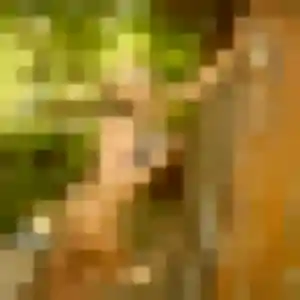 Photo de Marie-France à Fillinges (39 ans) - rencontre adulte anonyme