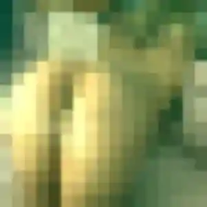 Celeste, 26 ans, dispo pour rencontre adulte à Florange