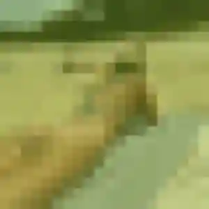 Rachida, 43 ans, en ligne à Fontenay-Trésigny pour un rencontre adulte