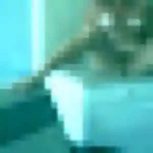 Zara, fille de 39 ans cherche rencontre adulte à Forges-les-Bains