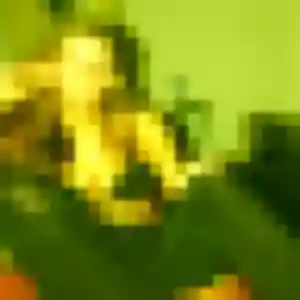 Photo perso de Mia, 36 ans à Freyming-Merlebach - rencontre coquine