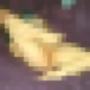 Rose-Marie, 45 ans, disponible à Ingwiller pour un rencontre adulte