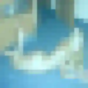 Romina, 19 ans, en ligne à Joué-lès-Tours pour un rencontre adulte