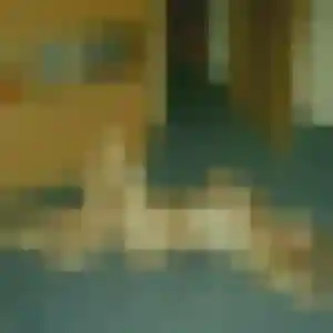 Colombe, 28 ans, connectée à Kaysersberg Vignoble pour une rencontre coquine