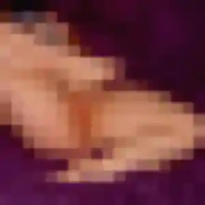 Ursula, femme de 36 ans cherche rencontre adulte à Knutange