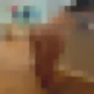 Ambre, 28 ans, en ligne à Lambres-lez-Douai pour une rencontre coquine