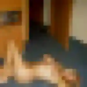 Dina, 42 ans, connectée à Le Chambon-Feugerolles pour un rencontre adulte