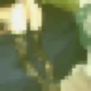 Anais (32 ans) à Lecelles attend un rencontre adulte maintenant