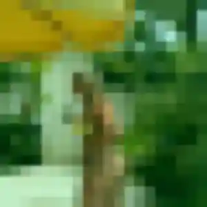 Jolie Nina, 19 ans à Lestrem - voir sa photo