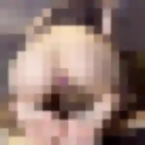 Rejoins Yannick, 28 ans à Mandres-les-Roses en privé
