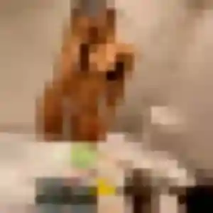 Odile (30 ans) à Mennecy attend une rencontre rapidement