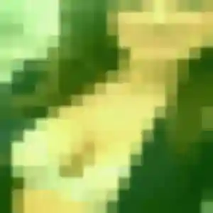 Jolie Lisa, 32 ans à Mondelange - la contacter