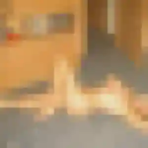 Jolie Albane, 44 ans à Neuville-en-Ferrain - voir sa photo