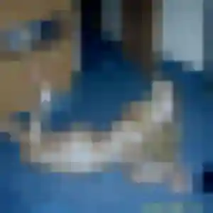 Photo de Colombe à Orry-la-Ville (44 ans) - rencontre adulte discret