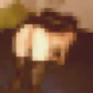 Lisa, femme de 33 ans veut rencontre adulte à Saint-Alban-Leysse