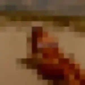 Photo exclusive de Alix, 42 ans à Saint-Amand-les-Eaux - rencontre coquine
