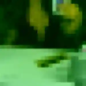Sexy Capucine, 36 ans à Saint-Amand-les-Eaux - voir sa photo