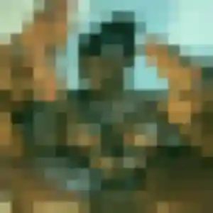 Photo de Tamara à Saint-Denis-lès-Bourg (44 ans) - rencontre adulte anonyme