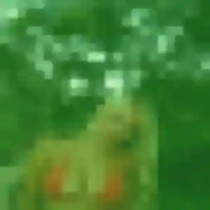 Rejoins Brigitte, 40 ans à Saint-Genis-les-Ollières en privé