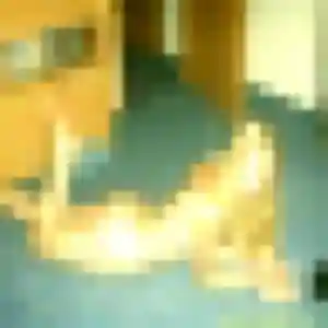 Photo perso de Brune, 22 ans à Saint-Germain-des-Fossés - rencontre coquine
