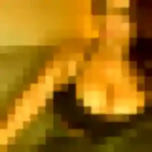 Photo de Lisette à Saint-Just-Malmont (33 ans) - rencontre adulte anonyme