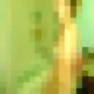 rencontre adulte à Saint-Louis : photo de Ambre, 34 ans - inscription gratuite