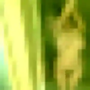 Profil de Eva à Saint-Quentin (39 ans) - rencontre adulte anonyme