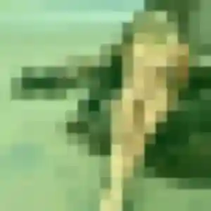 Anne-Sophie de Sainte-Florine, 43 ans - rencontre adulte sans prise de tête