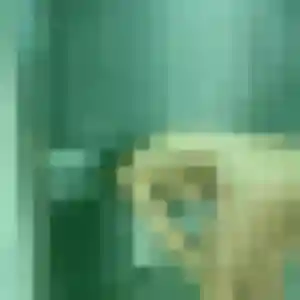 Jolie Ketty, 43 ans à Salaise-sur-Sanne - la contacter