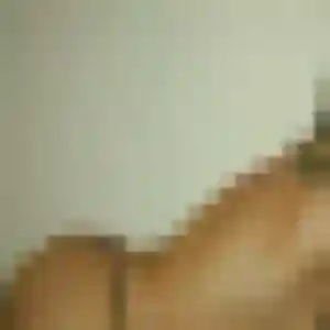 Amandine, 35 ans, disponible à Sassenage pour une rencontre coquine