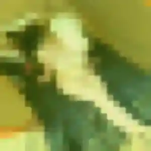 Jolie Catherine, 30 ans à Val-de-Moder - voir sa photo