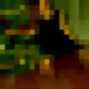 Photo exclusive de Amel, 38 ans à Valenton - rencontre coquine