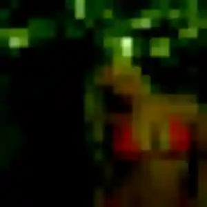 Photo de Jennifer à Villejuif (28 ans) - rencontre adulte sans inscription