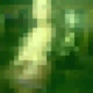 Photo exclusive de Jessica, 34 ans à Volvic - rencontre coquine